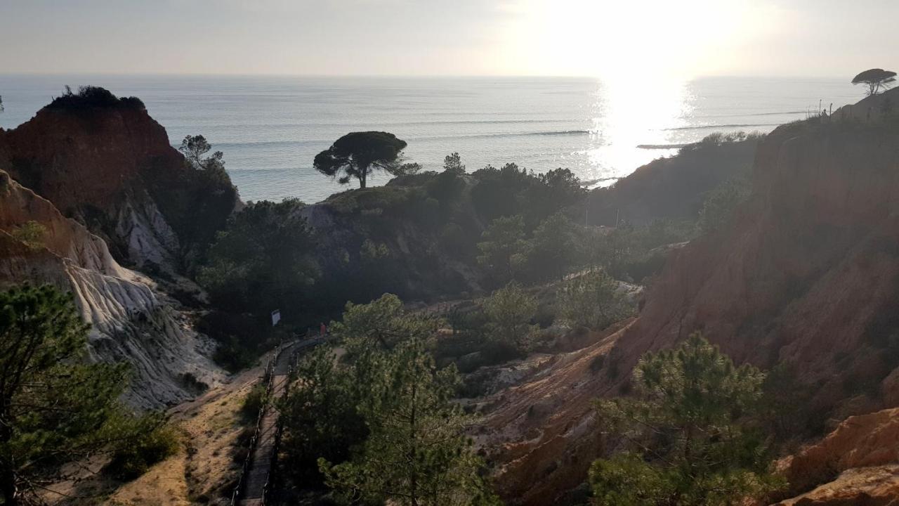 Magnific Studio With A Cozy Garden, 5 Minutes To The Beach Albufeira Luaran gambar