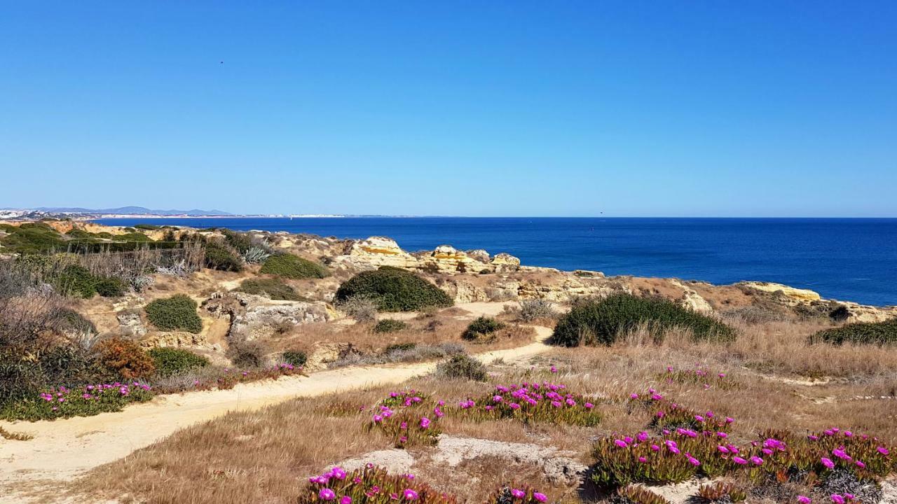 Magnific Studio With A Cozy Garden, 5 Minutes To The Beach Albufeira Luaran gambar